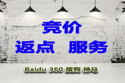 SEM精准广告投放的五大成功案例